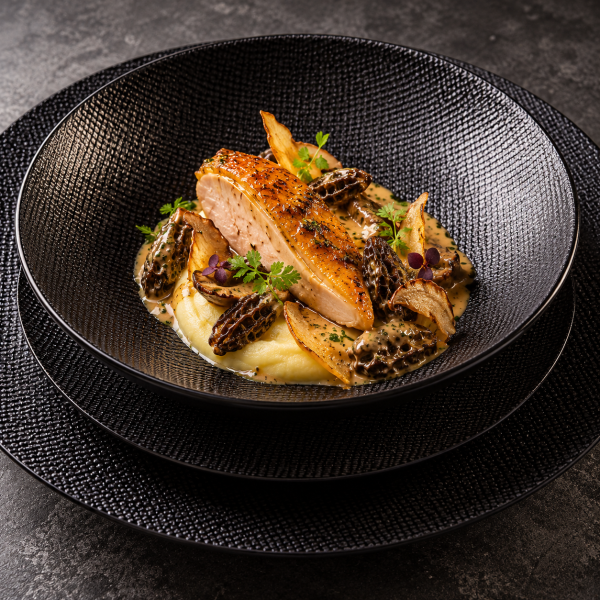 Suprême de Chapon, morilles, vin jaune
